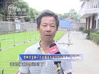 武進新聞