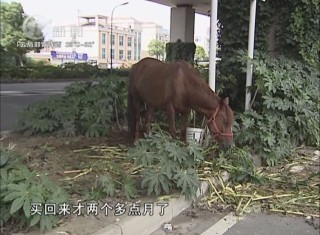 武進(jìn)新聞