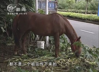 武進(jìn)新聞