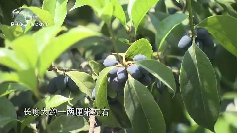 武進(jìn)新聞