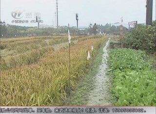 武進(jìn)新聞