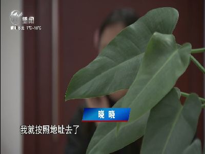 武進(jìn)新聞