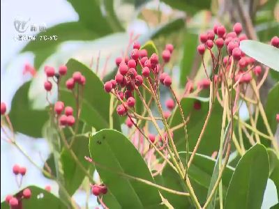 武進(jìn)新聞