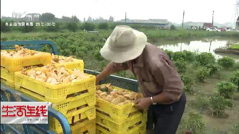 武進(jìn)新聞