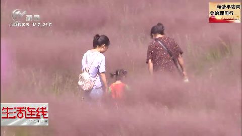 武進(jìn)新聞