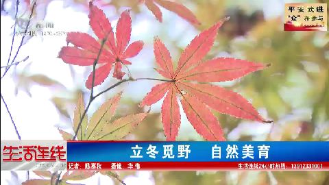 武進(jìn)新聞