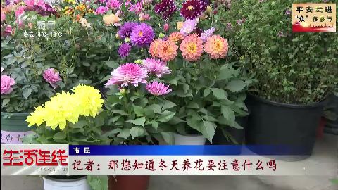 武進(jìn)新聞