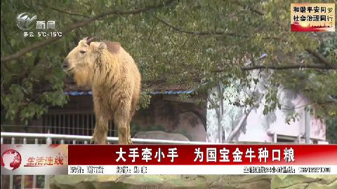 武進(jìn)新聞