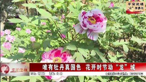 武進新聞