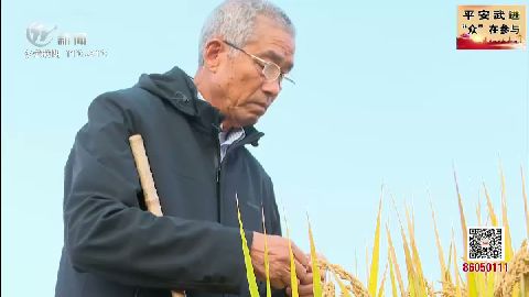 武進新聞