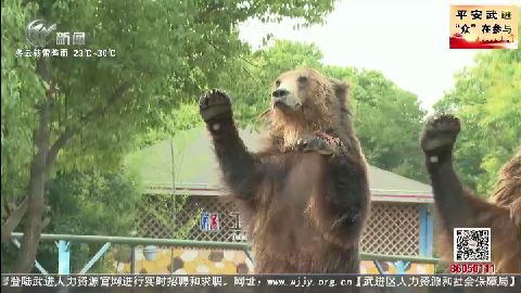 武進新聞