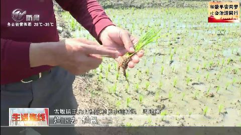 武進新聞