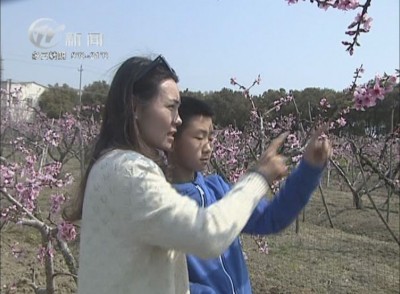 武進新聞