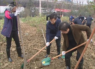 武進(jìn)新聞