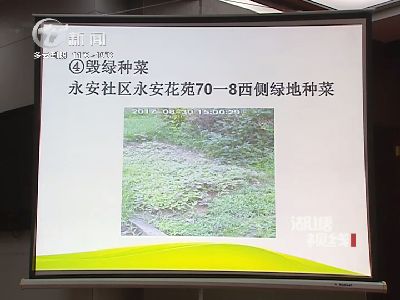 武進(jìn)新聞