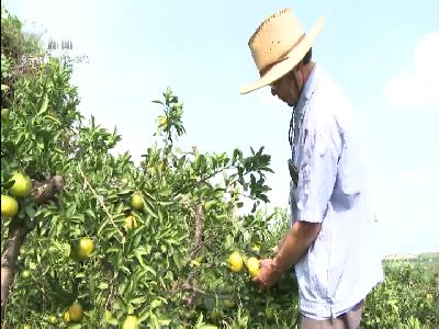 武進(jìn)新聞