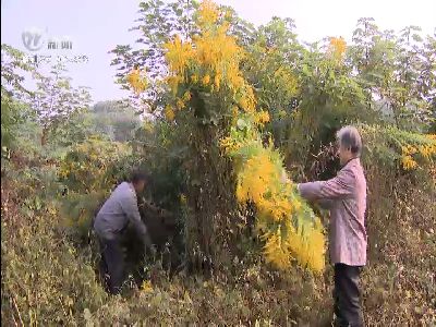 武進(jìn)新聞