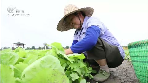 武進(jìn)新聞