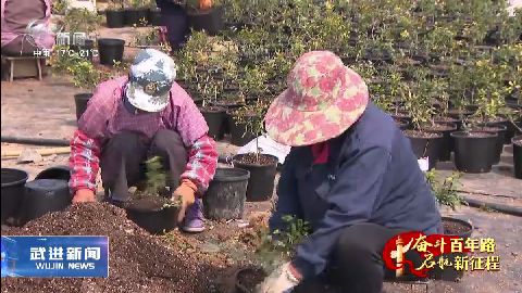 武進新聞