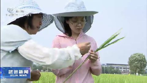 武進新聞