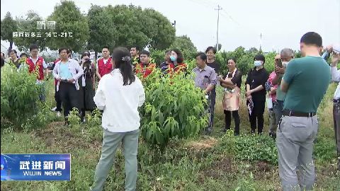 武進(jìn)新聞