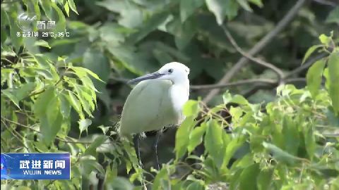 武進(jìn)新聞