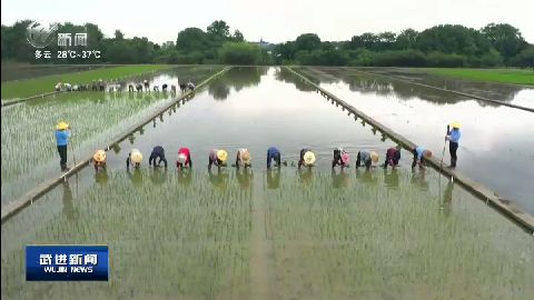 武進新聞