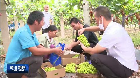 武進(jìn)新聞